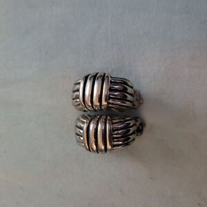 Elegant Silver Women's Earrings